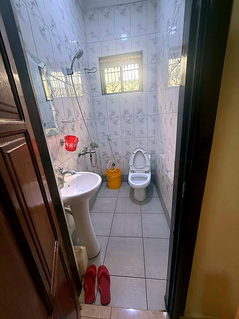 Patient sanitation facility